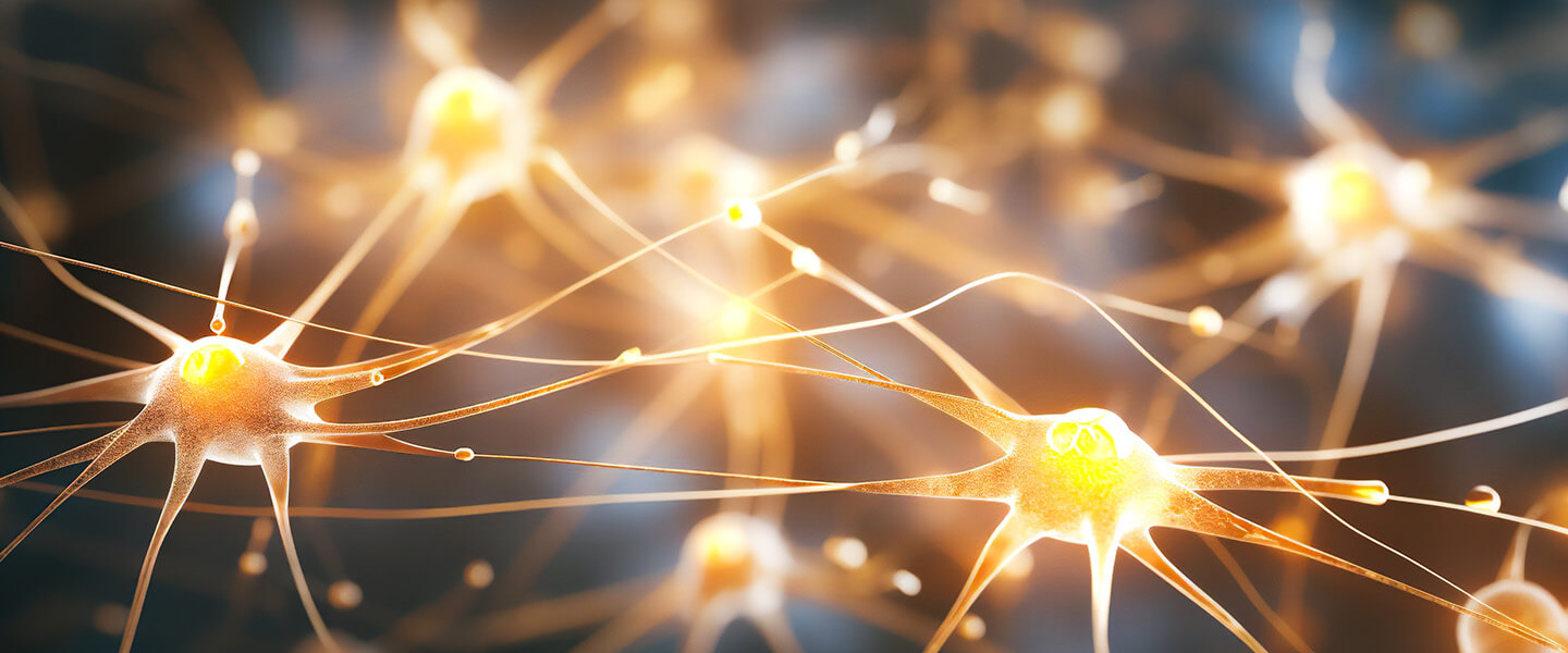 Discovery of a New Synaptic Mechanism Through Which Memories Are Maintained and Lost
Discovery of a New Synaptic Mechanism Through Which Memories Are Maintained and Lost