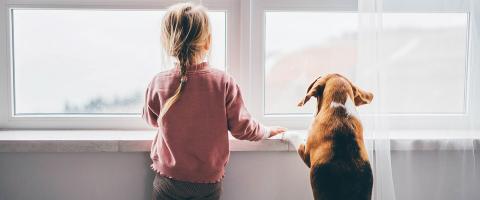 How Pandemic-Related Stress Affects Families, Parenting, and Child Mental Health How Pandemic-Related Stress Affects Families, Parenting, and Child Mental Health